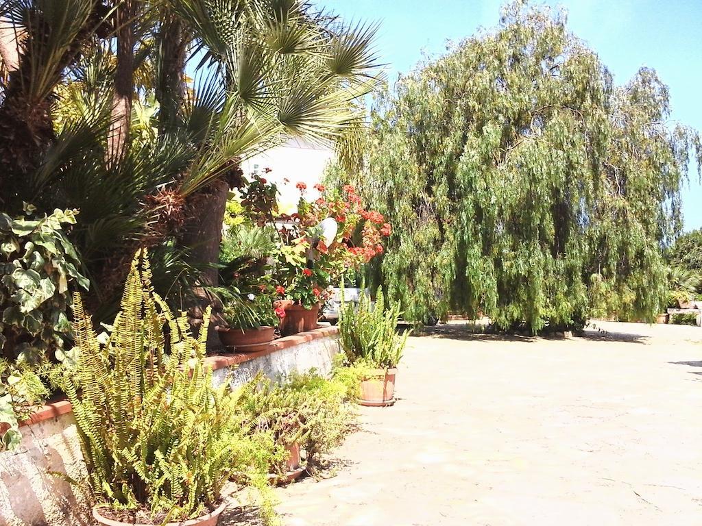 Nonnasara Bed And Breakfast Valderice Exterior foto