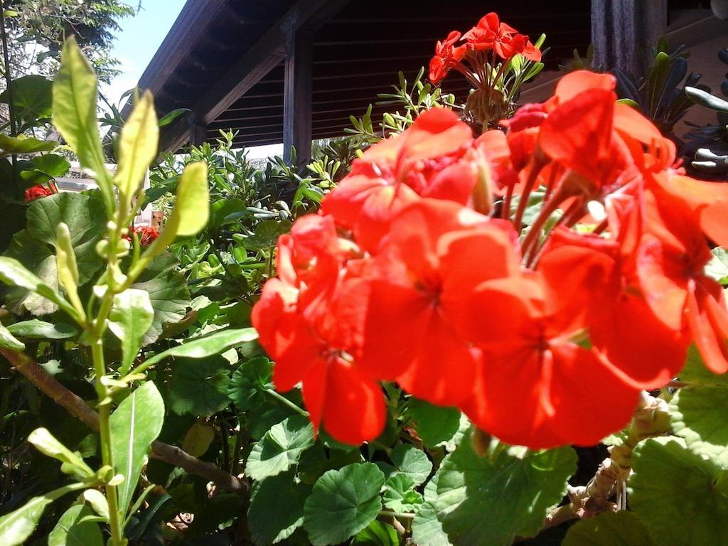 Nonnasara Bed And Breakfast Valderice Exterior foto
